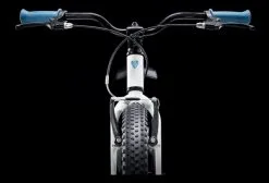 Vélo Enfant 2023 Trek Precaliber 20'' FW Chrystal White -Électrique Shop 12023115de7861215b2c3.50120876