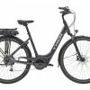Vélo De Ville Électrique Trek VERVE+ 1 LOWSTEP Shimano Altus 8V Noir 300wh 2023 -Électrique Shop 13082065dc4372b0d1c69.55634308