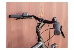 Vélo De Ville Électrique Trek District+ 1 300Wh Shimano Nexus 7V Lithium Grey 2022 12 Vélo De Ville Électrique Trek District+ 1 300Wh Shimano Nexus 7V Lithium Grey 2022 -Électrique Shop 1926678602a8231162a82.34201412